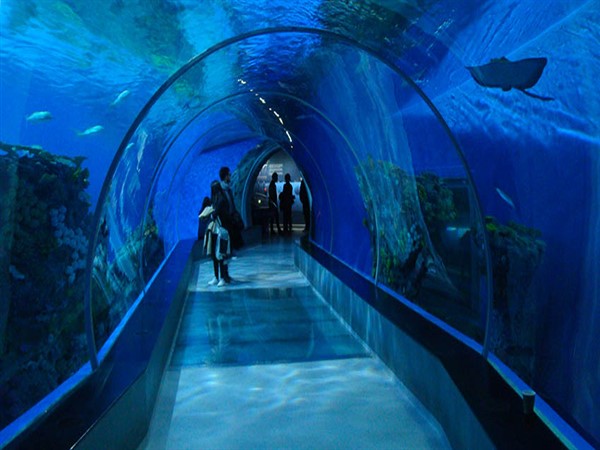 Acuario Dominicano - 03