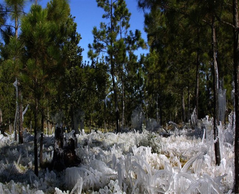 Constanza Rep-Dom - 02