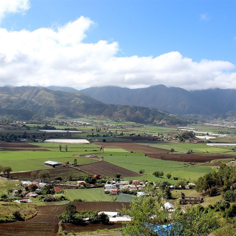 Constanza Rep-Dom - 07