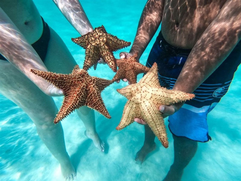 Isla Saona - RD - 04