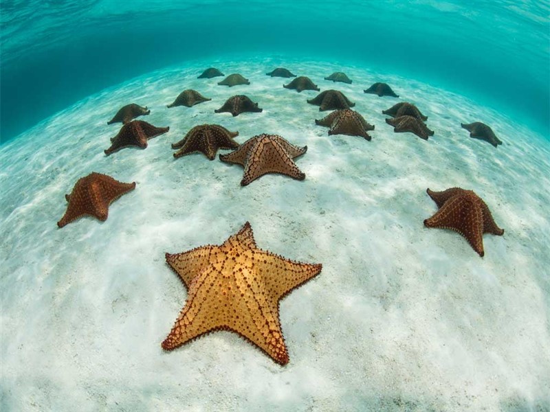 Isla Saona - RD - 06