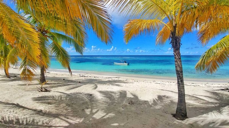 Isla Saona - RD - 10