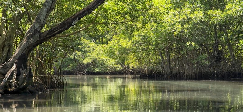 Laguna Gri Gri Rio San Juan - 03