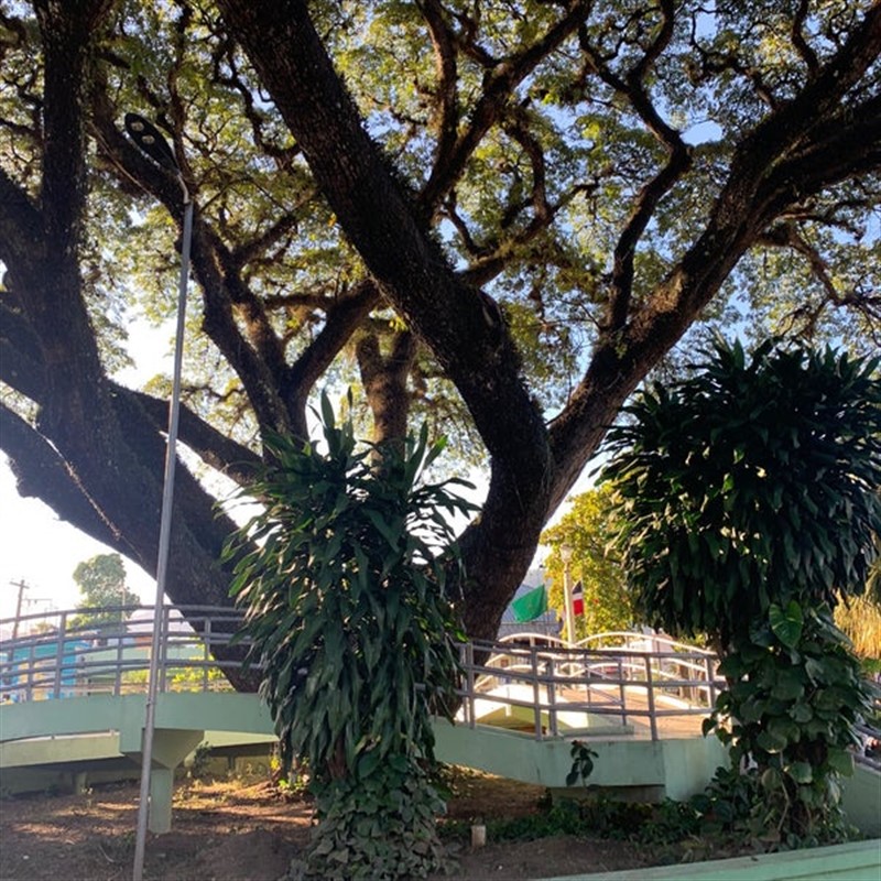 Parque Duarte Santiago-RD - 08