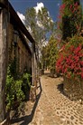 Altos de Chavon - 04
