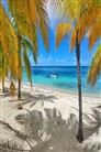 Isla Saona - RD - 10
